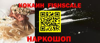 шишки Новодвинск