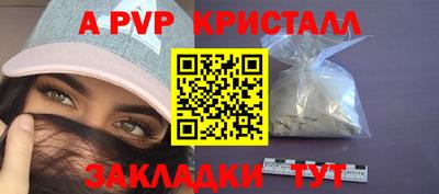 шишки Новодвинск
