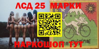 шишки Новодвинск