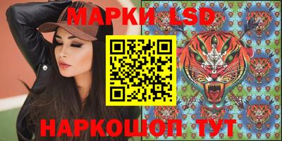 шишки Новодвинск