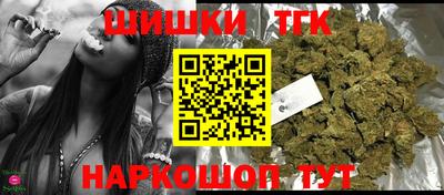 шишки Новодвинск