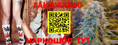 шишки Новодвинск