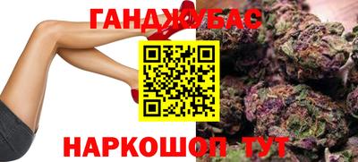 шишки Новодвинск