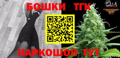 шишки Новодвинск