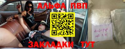шишки Новодвинск